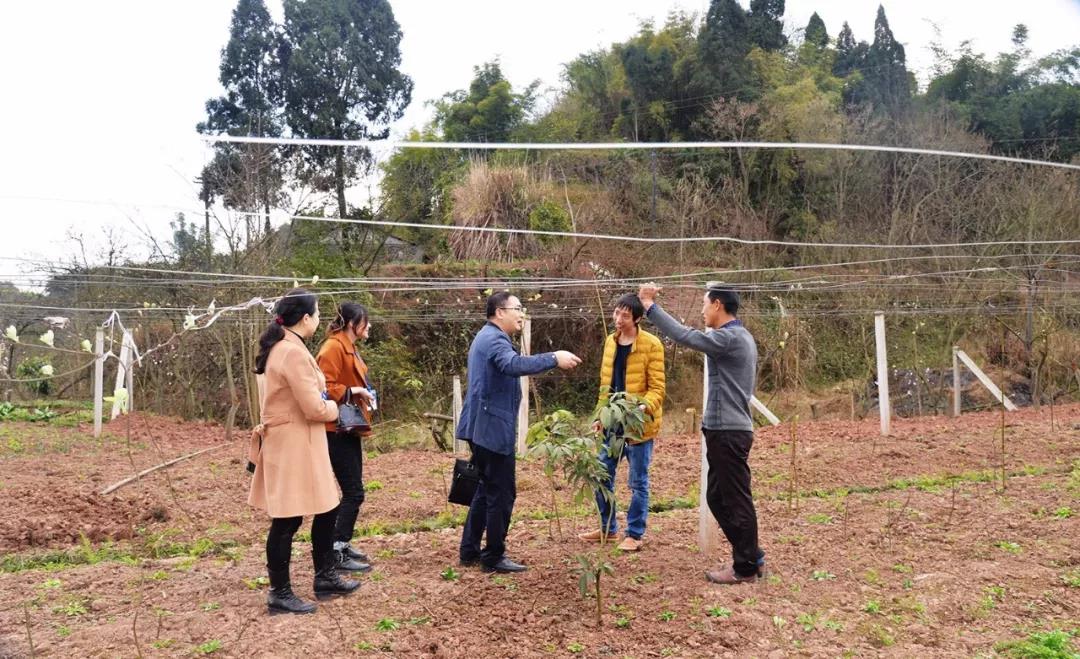 20180726153148_687.jpg 微信圖片_20180726152829.jpg